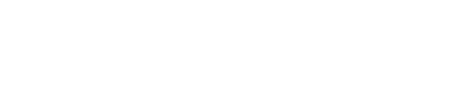 Vonfal AI